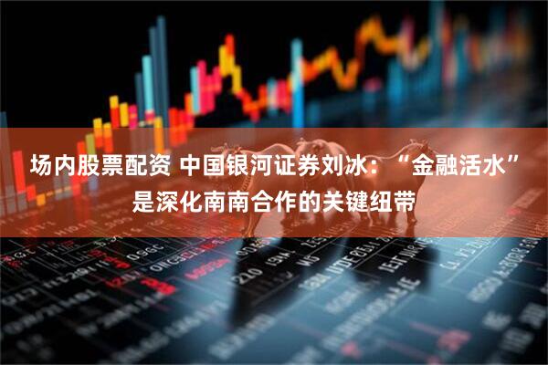 场内股票配资 中国银河证券刘冰：“金融活水”是深化南南合作的关键纽带