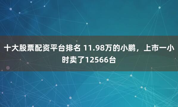 十大股票配资平台排名 11.98万的小鹏，上市一小时卖了12566台